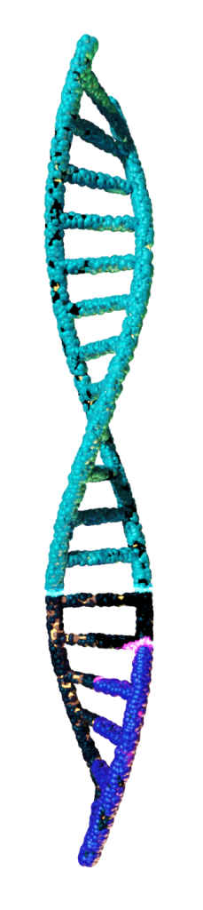 ADN en mutation ARN messager réalisé en 3D sur blender