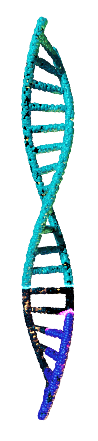 ADN en mutation ARN messager réalisé en 3D sur blender