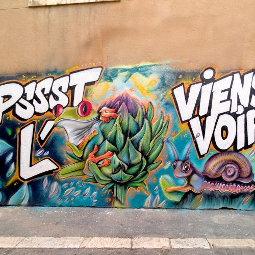 Arty show façade - le Panier - Marseille - Février 2026