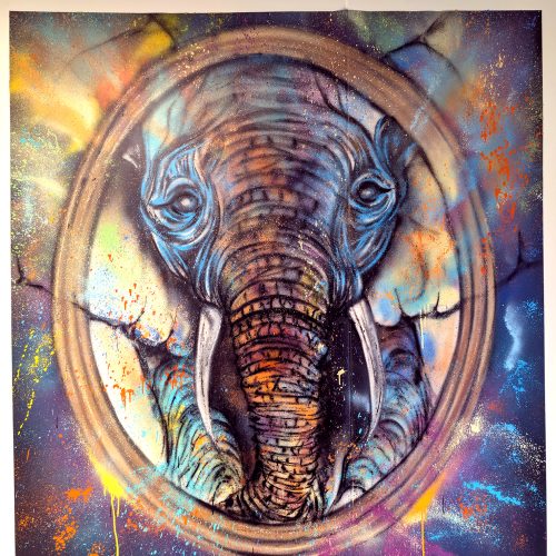 SCAPNOR, Centre E.Leclerc, nord île de France, Paris - Bureaux, novembre 2025