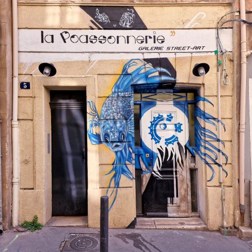 Réalisation de la devanture de la Galerie Street-Art « La Poassonnerie », dans le quartier du Panier à Marseille. Galerie alternative et solidaire du Collectif AVC « Arts Visuels et Contemporains », spécialisés dans les expositions dans les hôpitaux depuis 2015. Street-Art et Graffiti.
