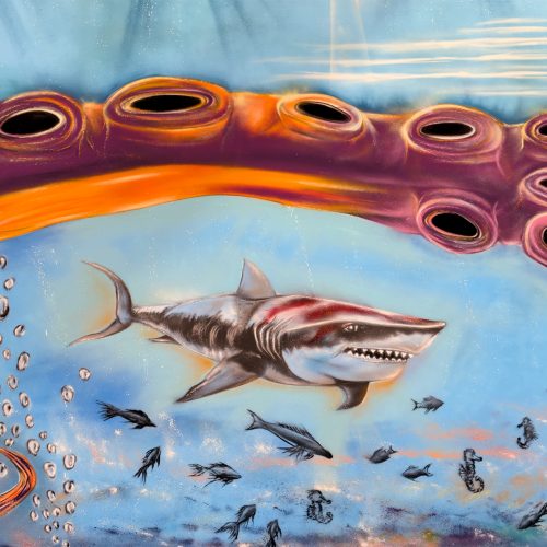 SCAPNOR, Centre E.Leclerc, nord île de France, Paris - Bureaux, novembre 2025