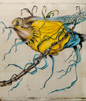Un oiseau sur sa branche - Spray sur plastigraff - Hôpital Saint-Antoine Paris 12 - Poasson Artiste Peintre
