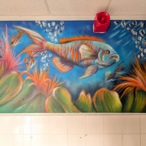 SCAPNOR, Centre E.Leclerc, nord île de France, Paris - Bureaux, novembre 2025