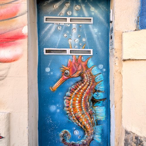 Hippocampe sur la porte de la montée saint-esprit, marseille - le panier - avril 2026