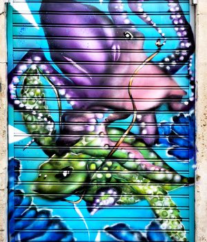 Chavauchée - Spray sur store - Montpellier - poasson artiste peintre