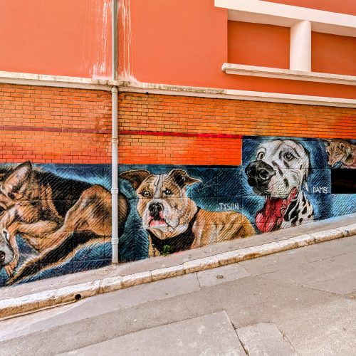 Les chiens du quartier du Panier, fresque pour les habitants - Marseille, septembre 2025